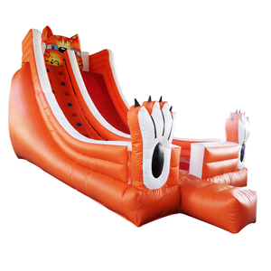Tall and long dry slide cat commercial castle slide for children