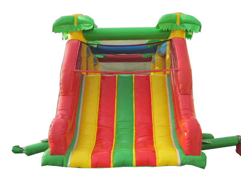 multi-lane jungle inflatable dry slide
