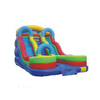 Heavy Duty PVC Inflatable Water Slide for Backyard Summer Fun