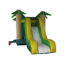 inflatable bouncer for toddlers
