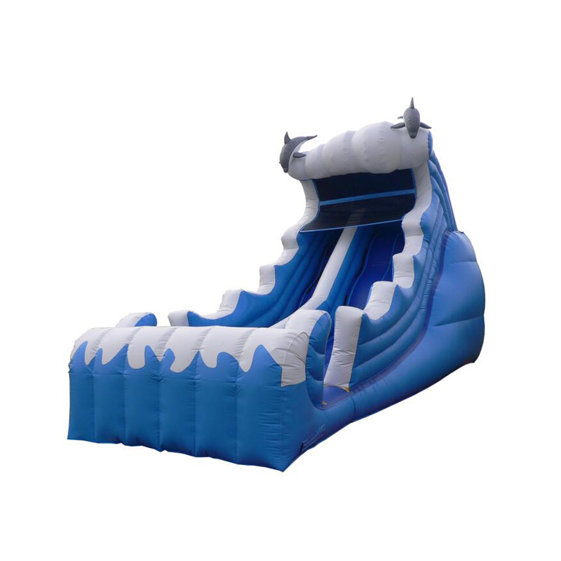 Custom Commercial Inflatable Dry Water Slide
